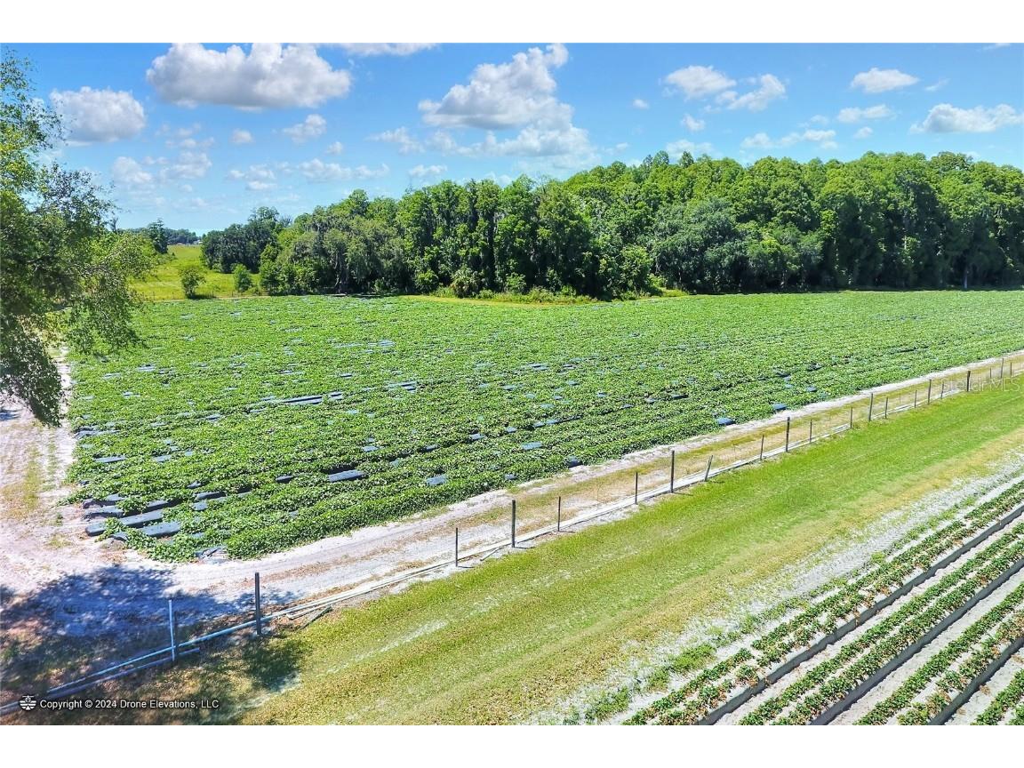 5625 Stafford Road Plant City FL 33565 TB8451332 image10