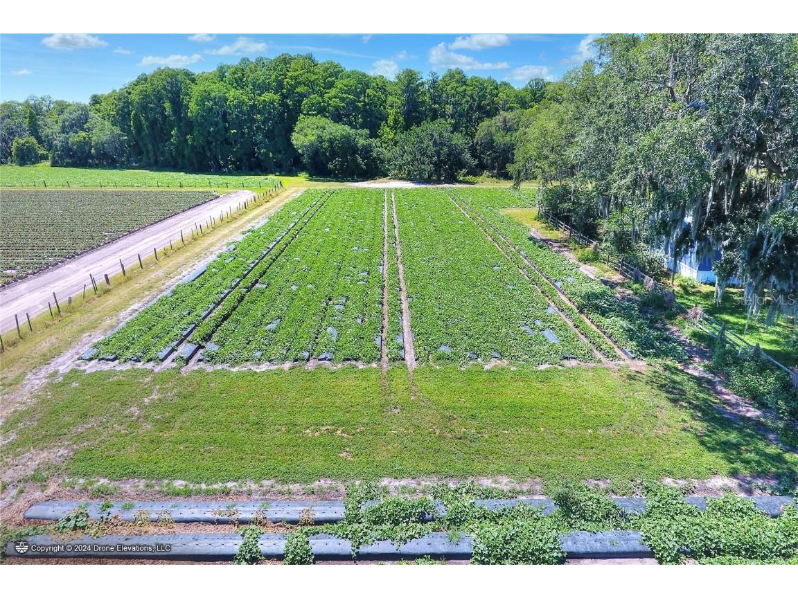 5625 Stafford Road Plant City FL 33565 TB8451332 image11