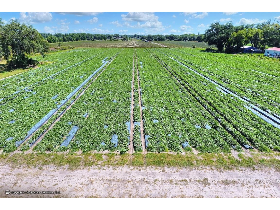 5625 Stafford Road Plant City FL 33565 TB8451332 image12