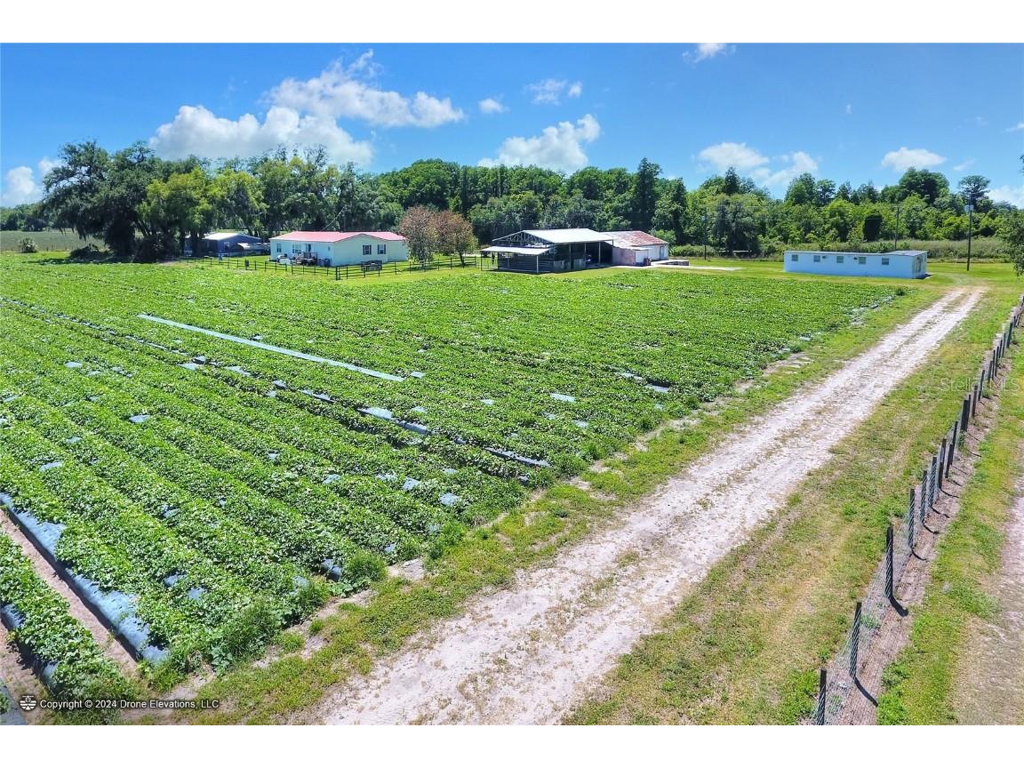 5625 Stafford Road Plant City FL 33565 TB8451332 image13