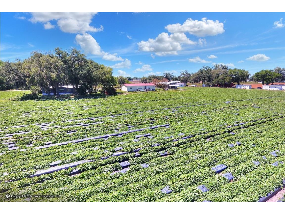 5625 Stafford Road Plant City FL 33565 TB8451332 image14