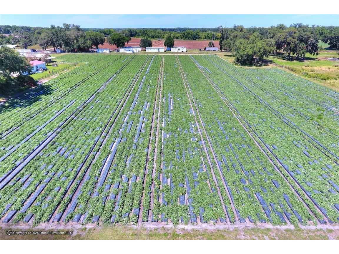 5625 Stafford Road Plant City FL 33565 TB8451332 image15