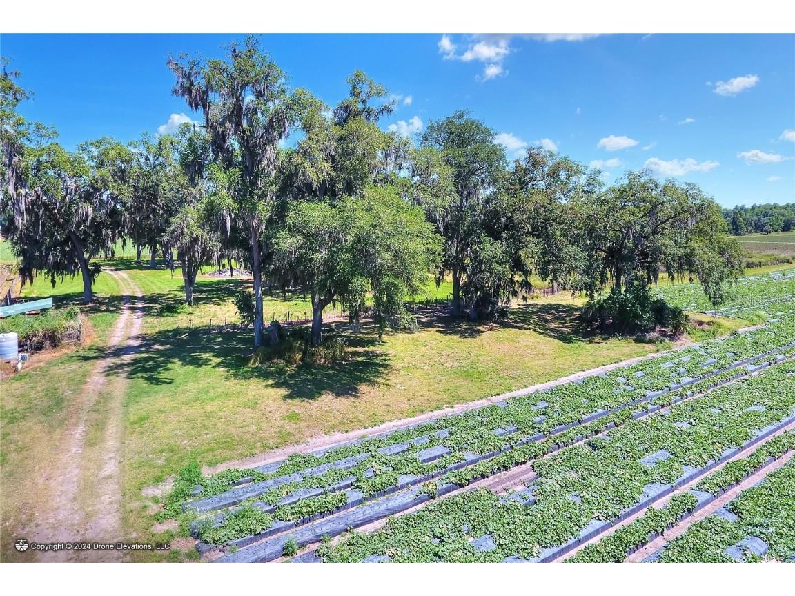 5625 Stafford Road Plant City FL 33565 TB8451332 image16