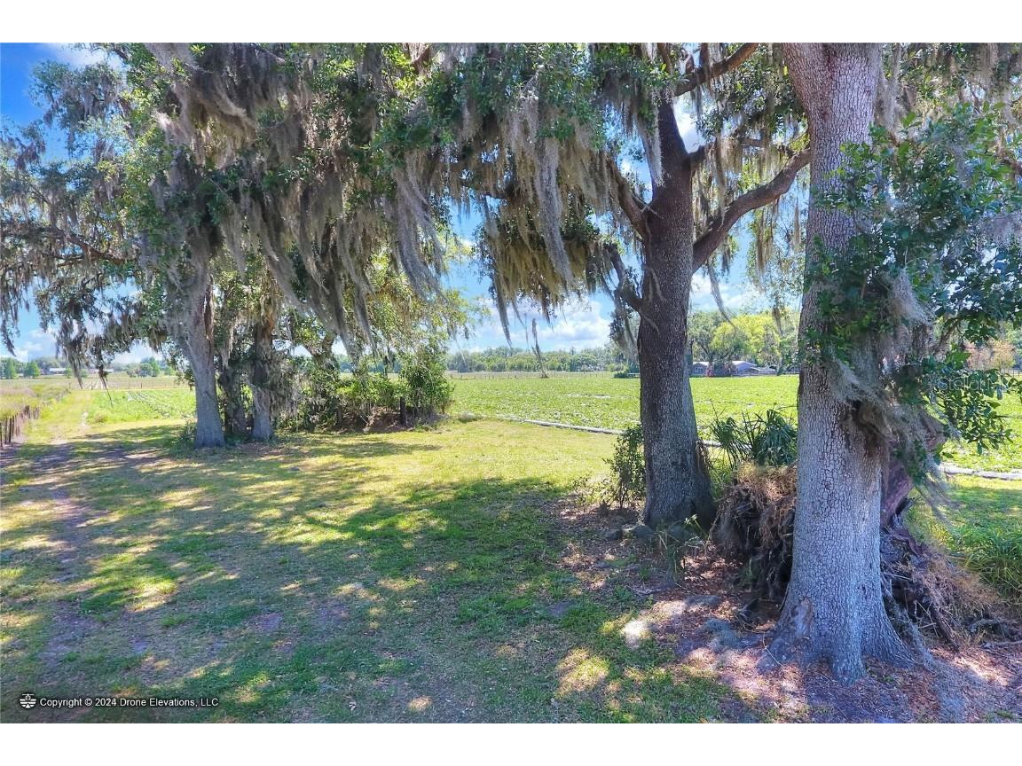 5625 Stafford Road Plant City FL 33565 TB8451332 image18