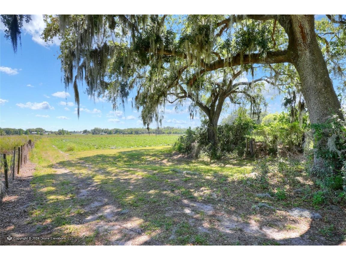 5625 Stafford Road Plant City FL 33565 TB8451332 image19