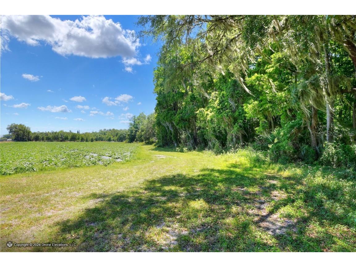 5625 Stafford Road Plant City FL 33565 TB8451332 image21