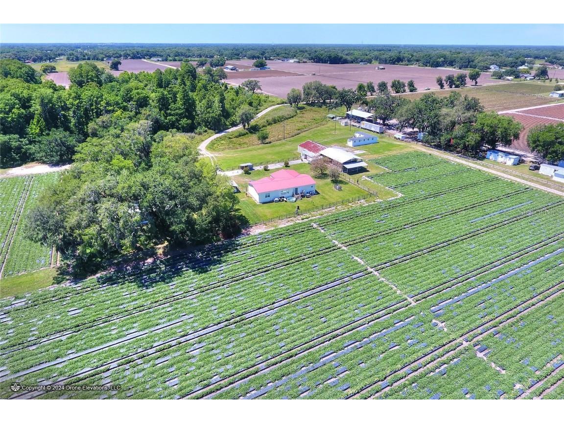 5625 Stafford Road Plant City FL 33565 TB8451332 image31