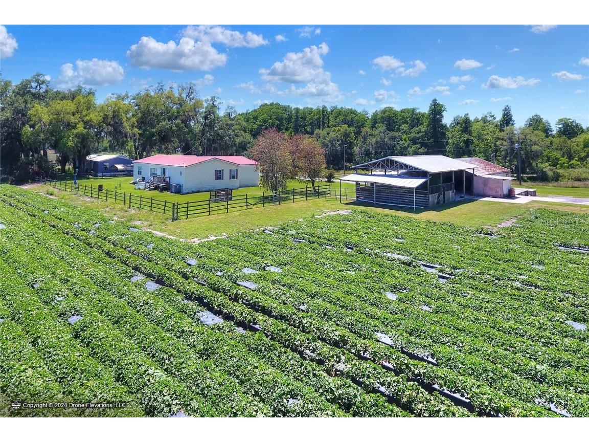 5625 Stafford Road Plant City FL 33565 TB8451332 image33