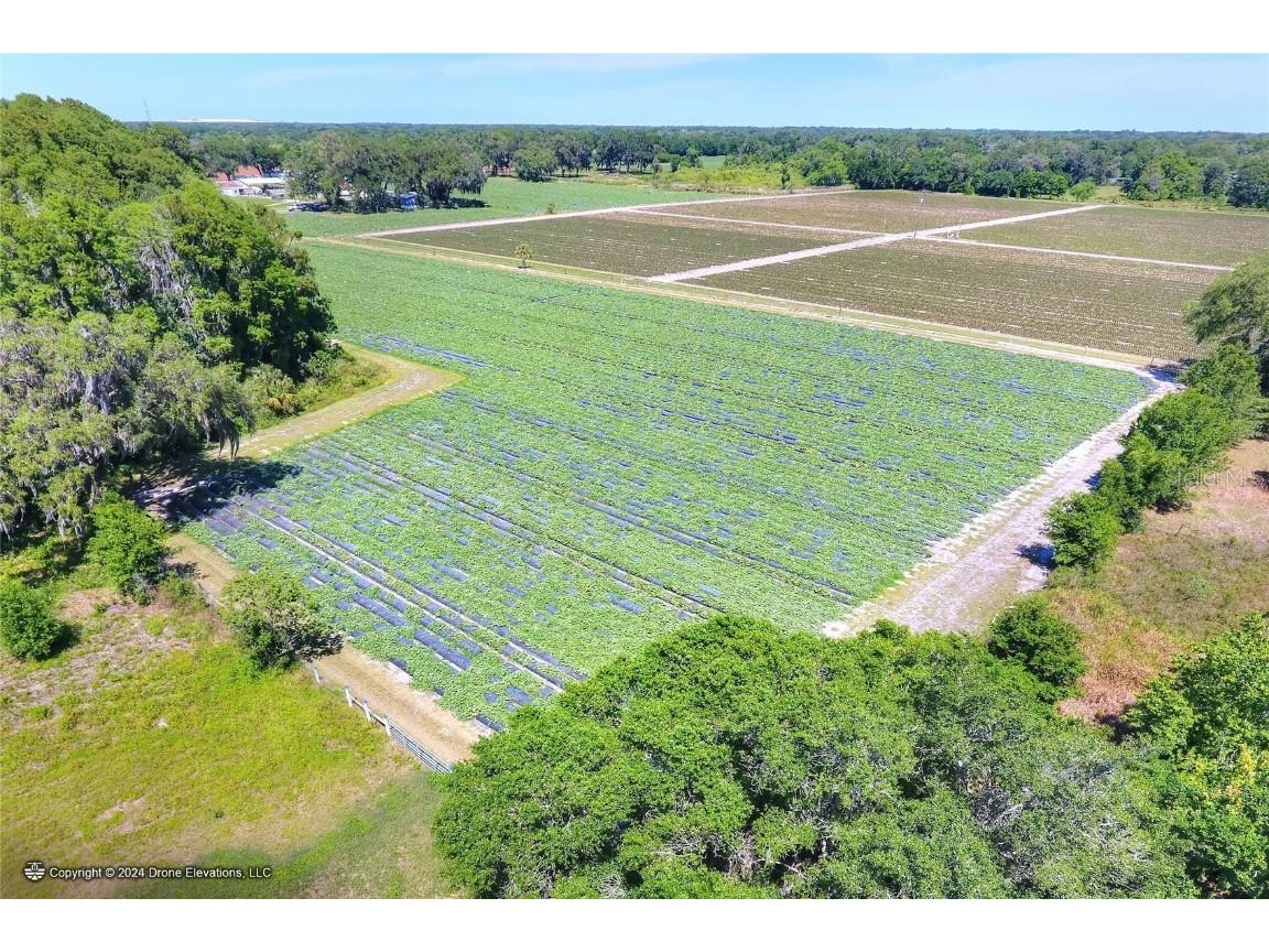 5625 Stafford Road Plant City FL 33565 TB8451332 image5