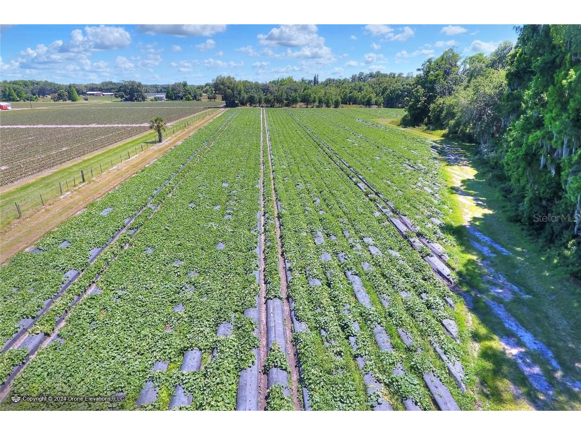 5625 Stafford Road Plant City FL 33565 TB8451332 image7