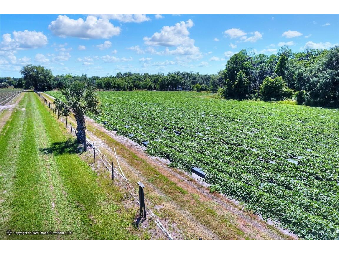 5625 Stafford Road Plant City FL 33565 TB8451332 image8