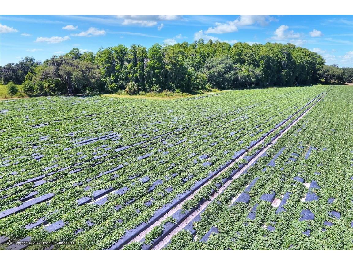 5625 Stafford Road Plant City FL 33565 TB8451332 image9