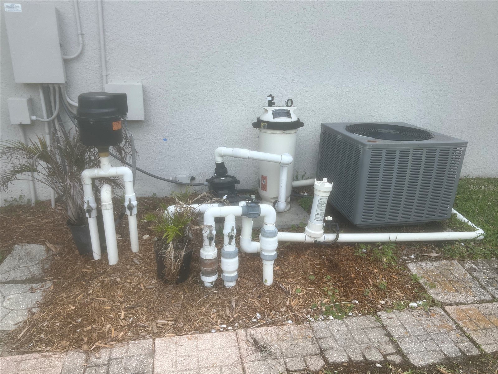 5626 Riva Ridge Drive Wesley Chapel FL 33544 TB8497555 image12