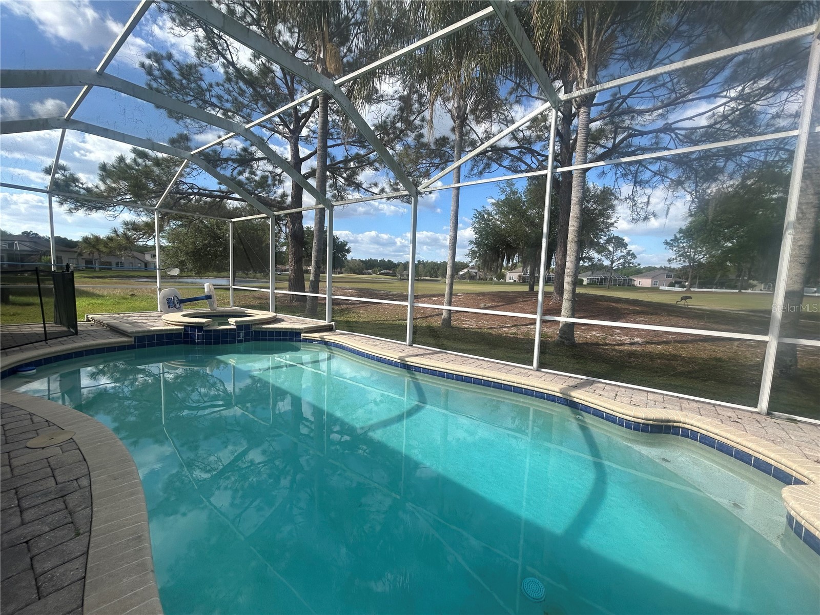 5626 Riva Ridge Drive Wesley Chapel FL 33544 TB8497555 image18