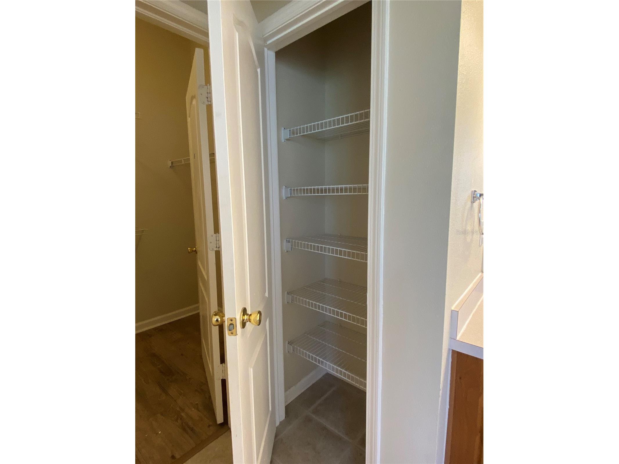 5626 Riva Ridge Drive Wesley Chapel FL 33544 TB8497555 image27