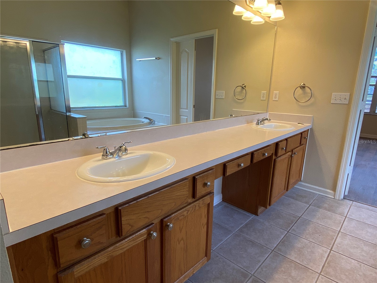 5626 Riva Ridge Drive Wesley Chapel FL 33544 TB8497555 image28