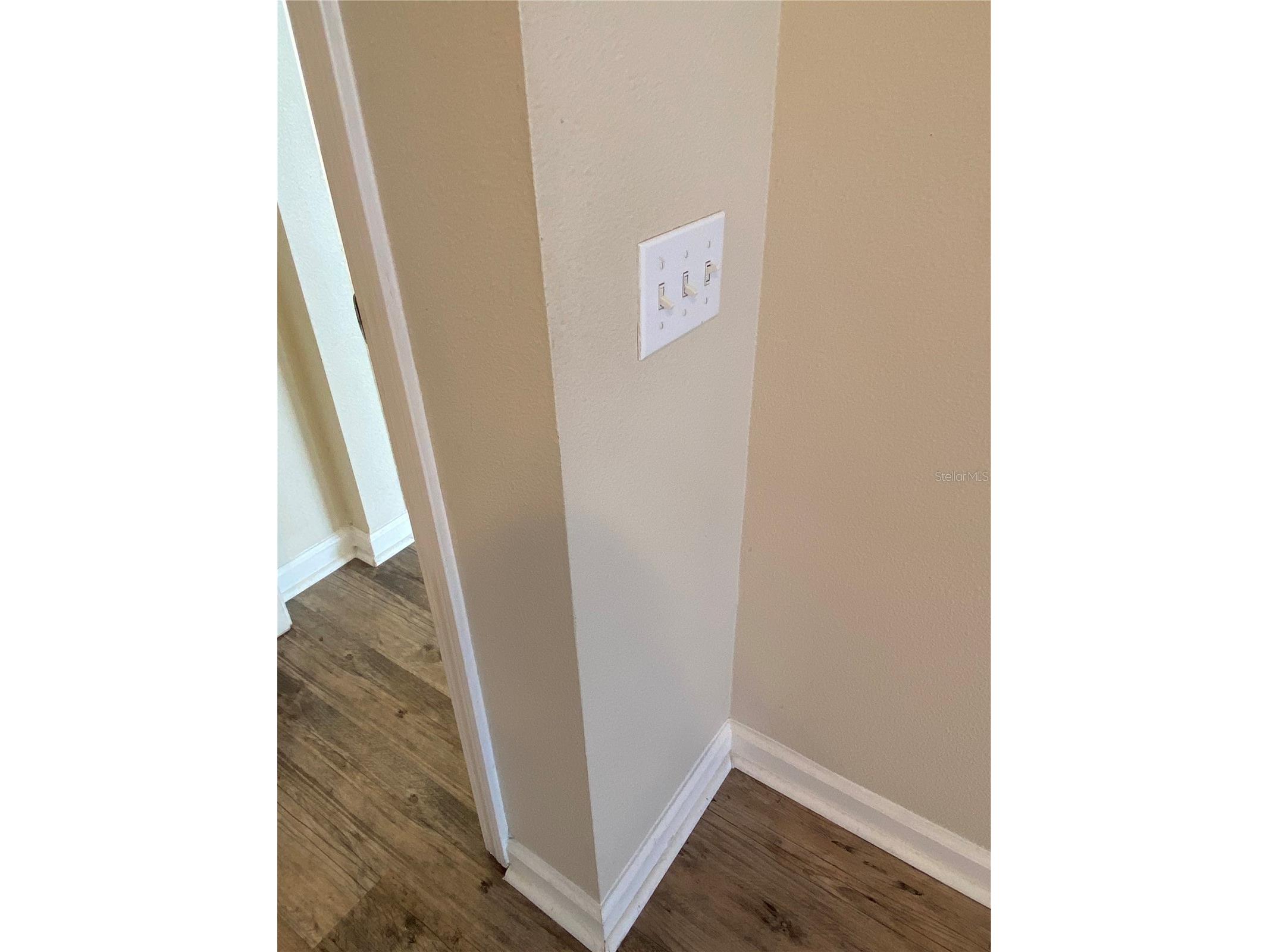 5626 Riva Ridge Drive Wesley Chapel FL 33544 TB8497555 image35