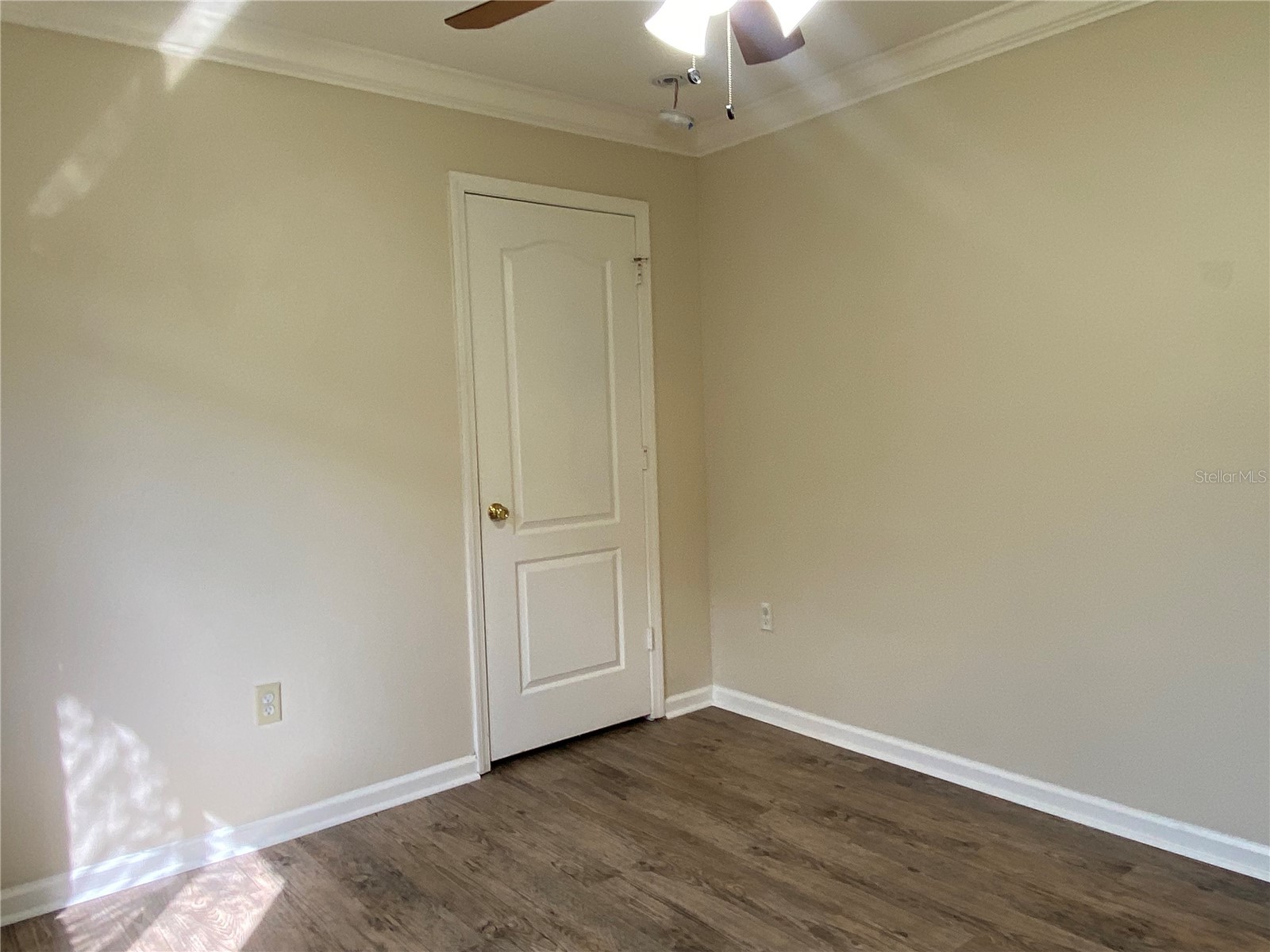 5626 Riva Ridge Drive Wesley Chapel FL 33544 TB8497555 image37