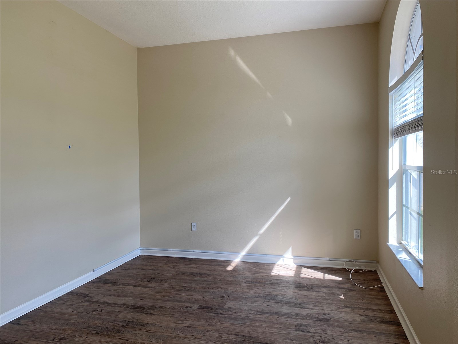5626 Riva Ridge Drive Wesley Chapel FL 33544 TB8497555 image68