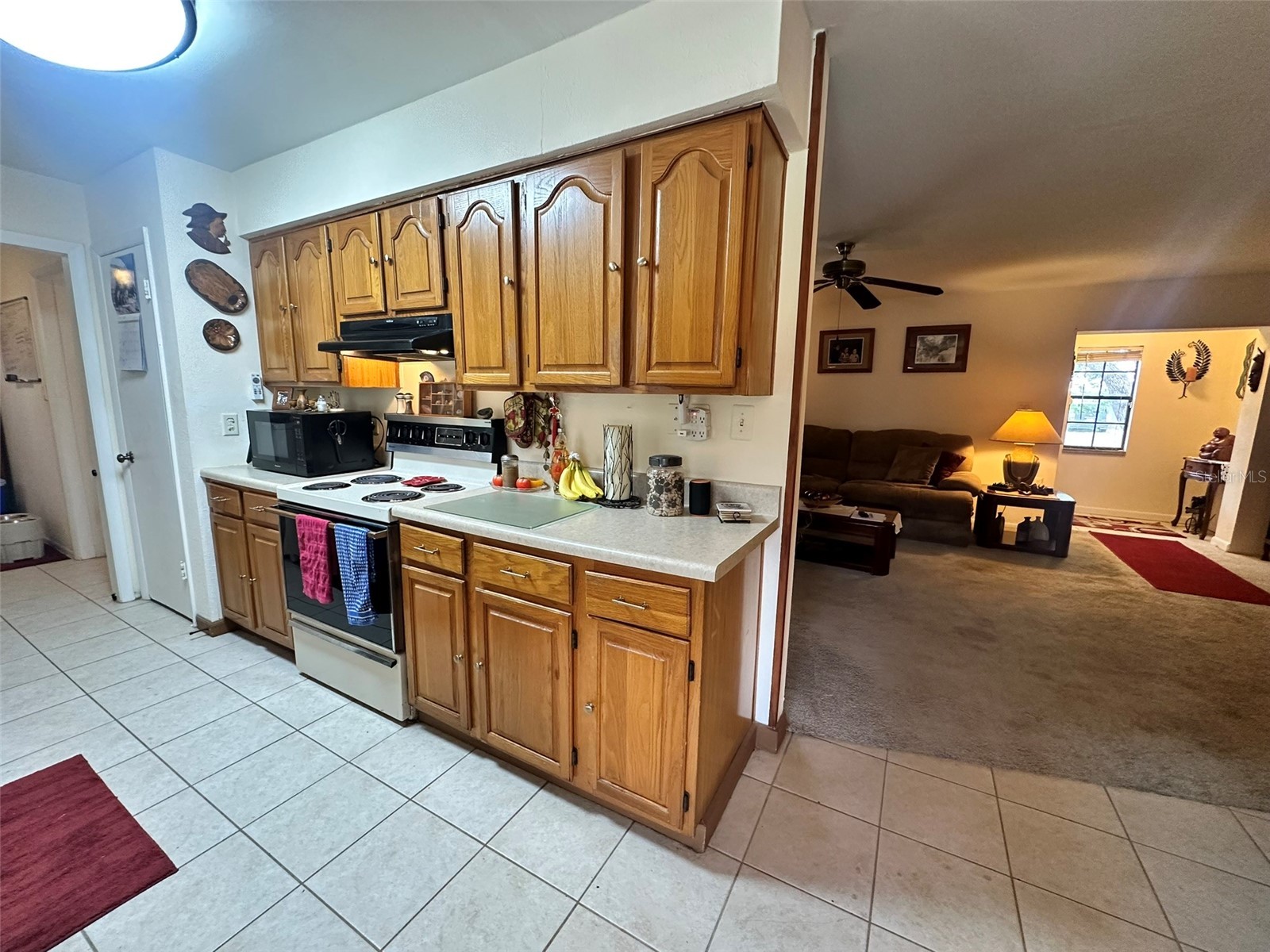 5626 Stull Avenue Orlando FL 32810 O6416692 image11