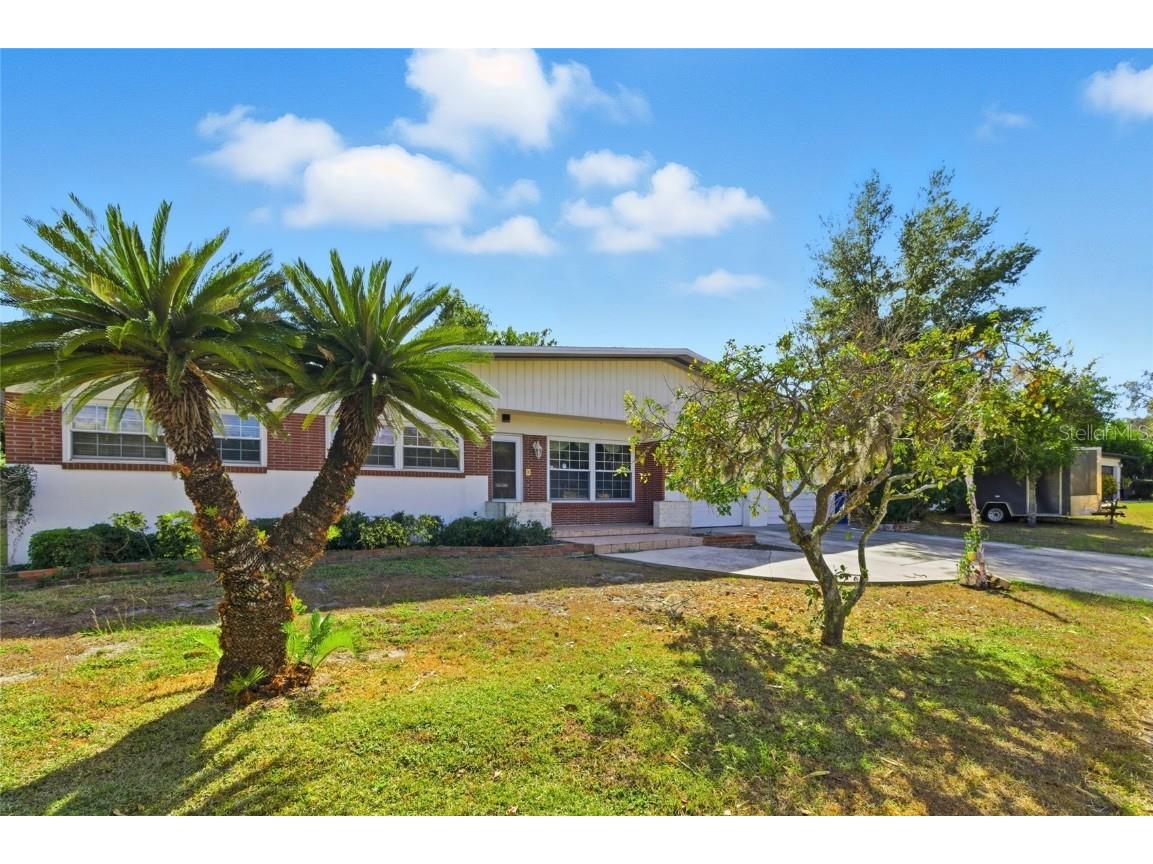 5627 Oakland Drive Tampa FL 33617 O6320799 image4