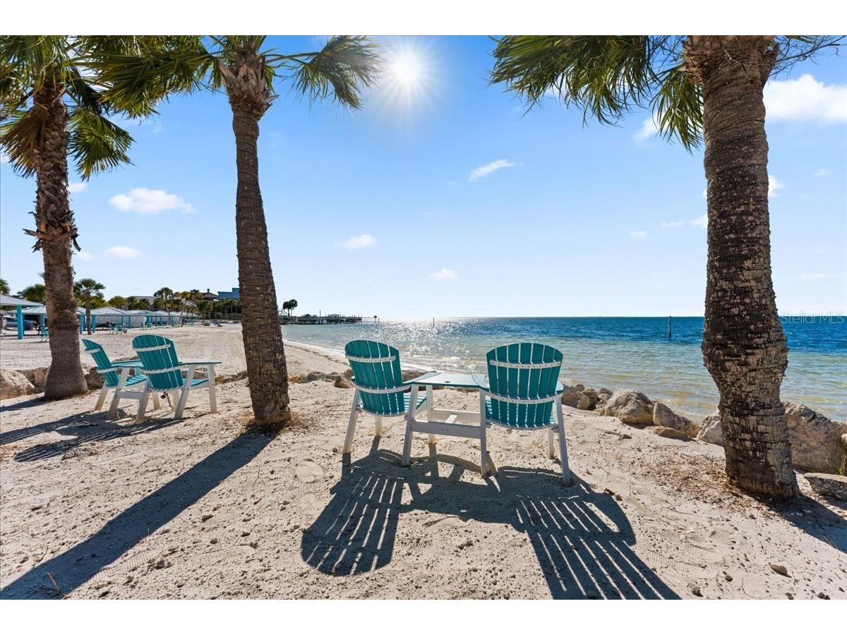 5627 Red Snapper Court New Port Richey FL 34652 TB8473081 image50