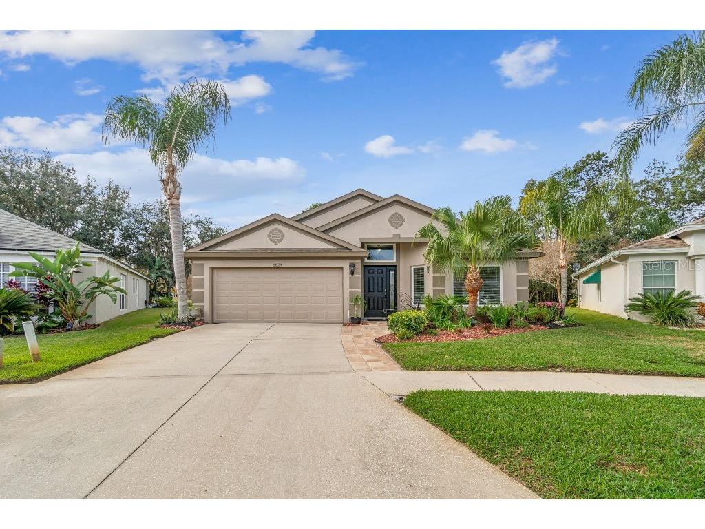 5629 Grindstone Loop Wesley Chapel FL 33544 TB8458791 image2