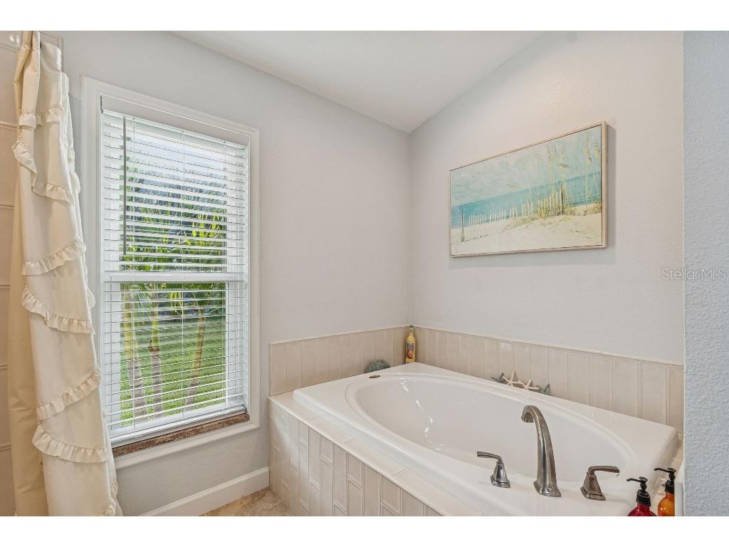 5629 Grindstone Loop Wesley Chapel FL 33544 TB8458791 image25