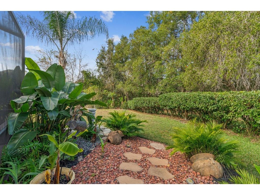 5629 Grindstone Loop Wesley Chapel FL 33544 TB8458791 image35