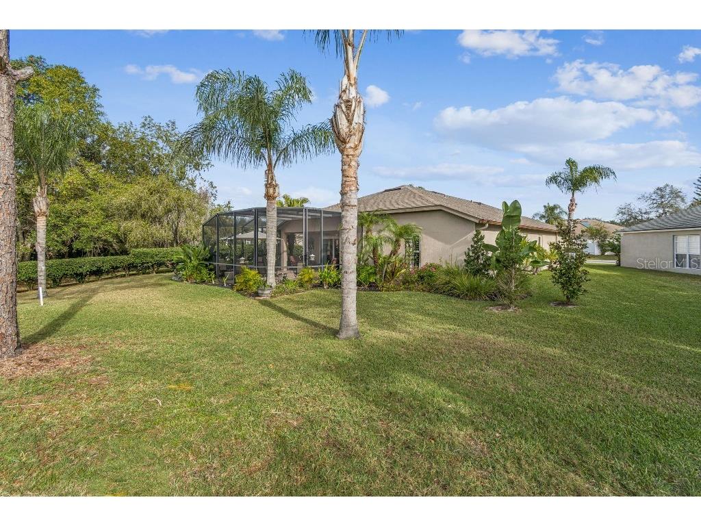 5629 Grindstone Loop Wesley Chapel FL 33544 TB8458791 image38