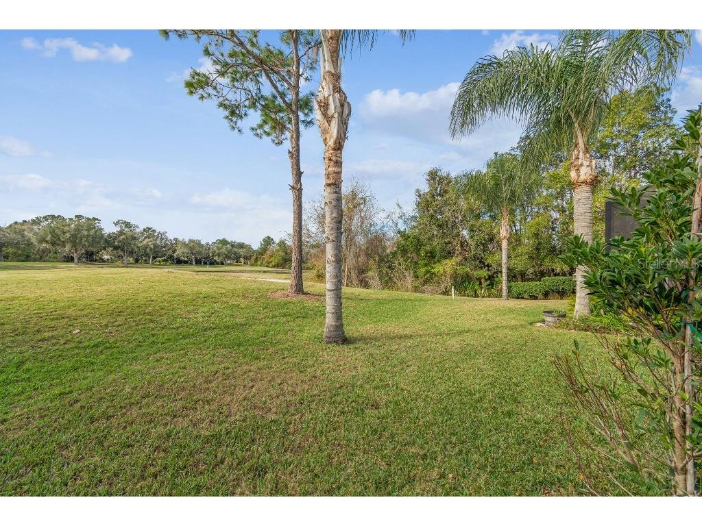 5629 Grindstone Loop Wesley Chapel FL 33544 TB8458791 image39