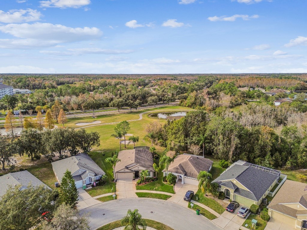 5629 Grindstone Loop Wesley Chapel FL 33544 TB8458791 image40