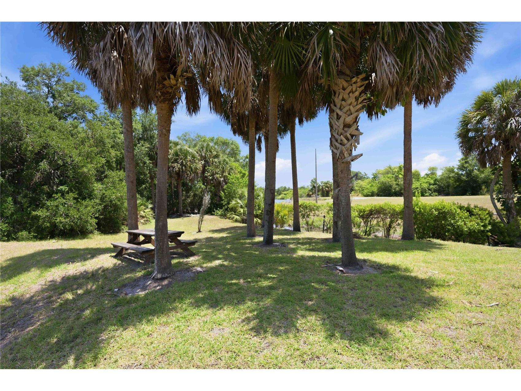 5629 Key Largo Court #B06 Bradenton FL 34203 - BRADEN RIVER A4692020 image41
