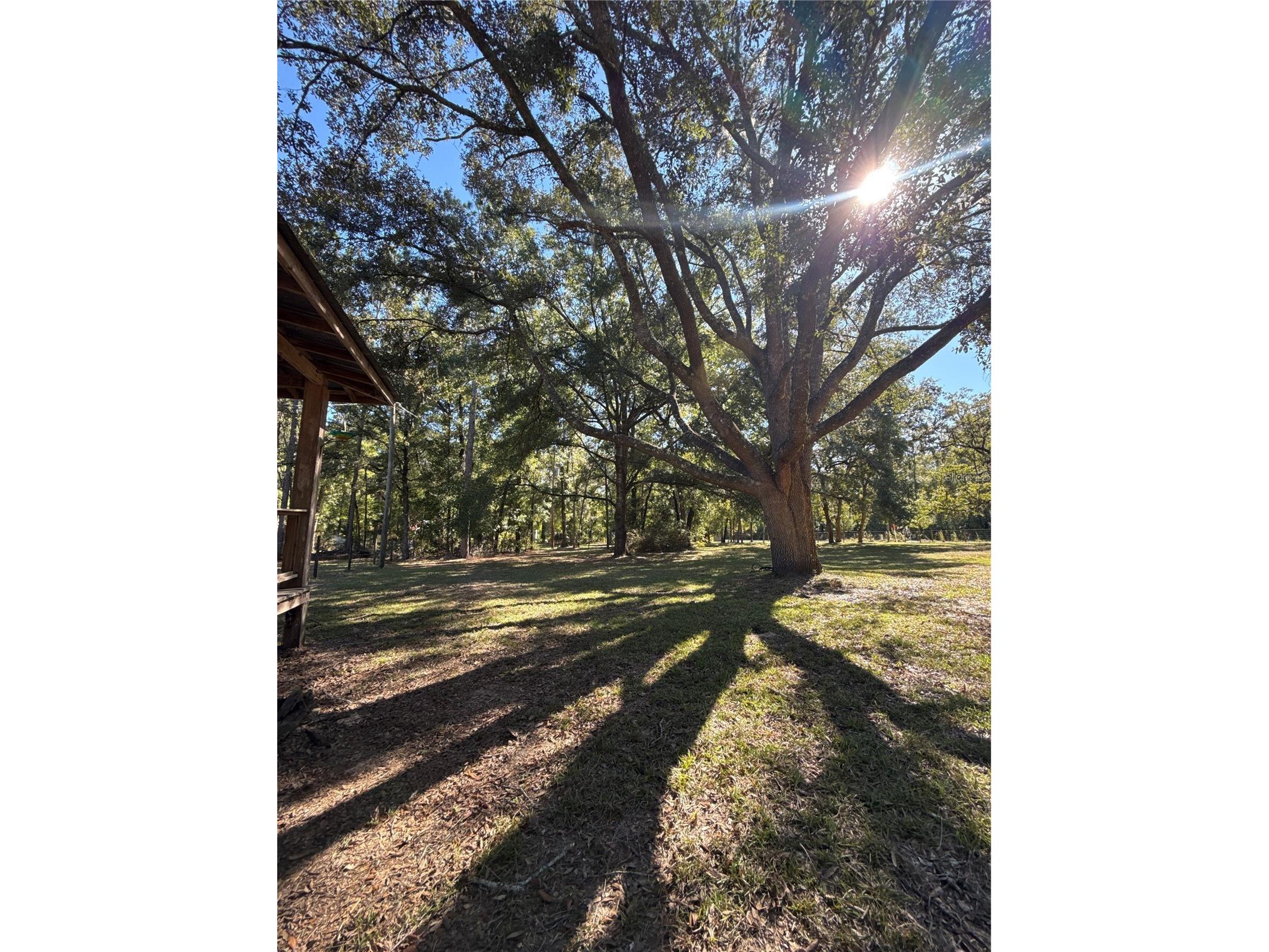 563 SW Longhorn Terrace Fort White FL 32038 GC534630 image16