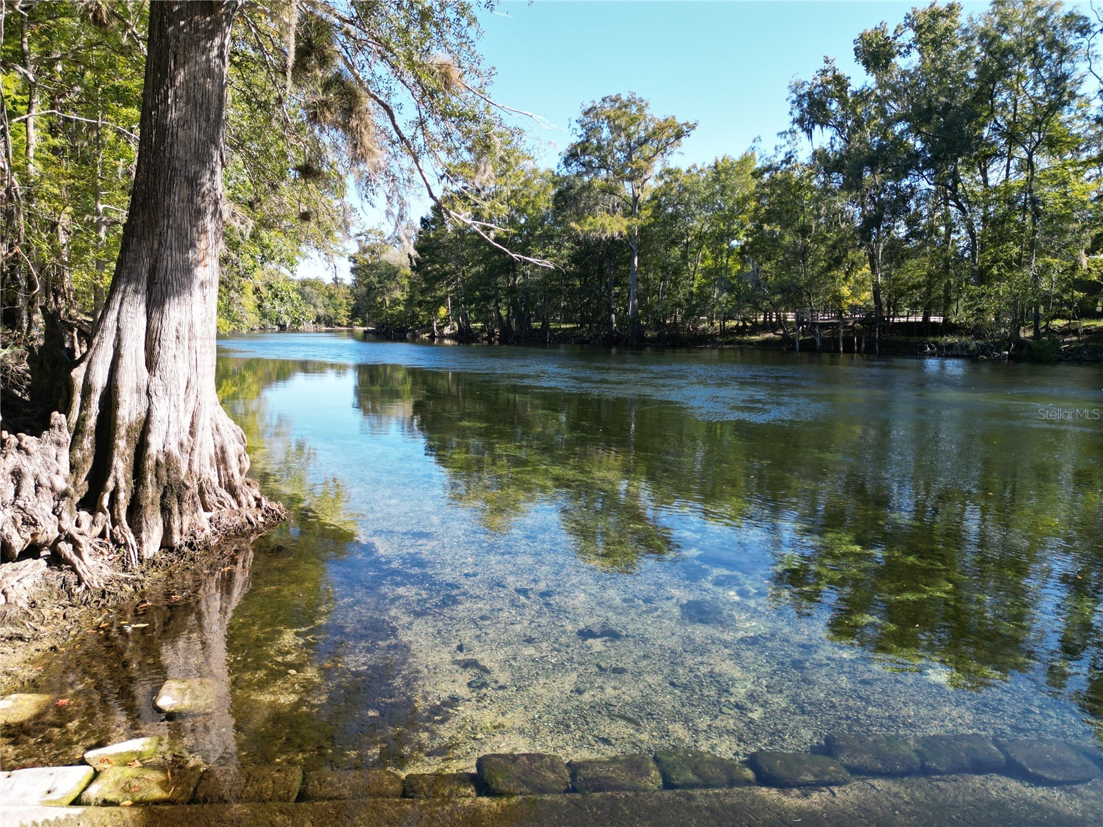 563 SW Longhorn Terrace Fort White FL 32038 GC534630 image3