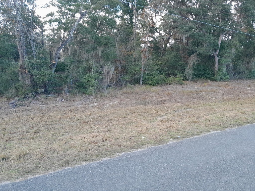 5630 NE 137th Terrace Williston FL 32696 OM649782 image1