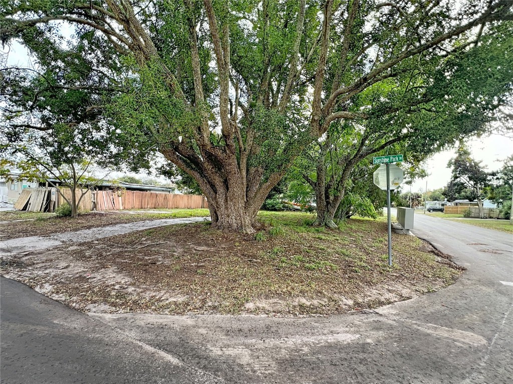 5630 Sunshine Park Drive New Port Richey FL 34652 W7881364 image3