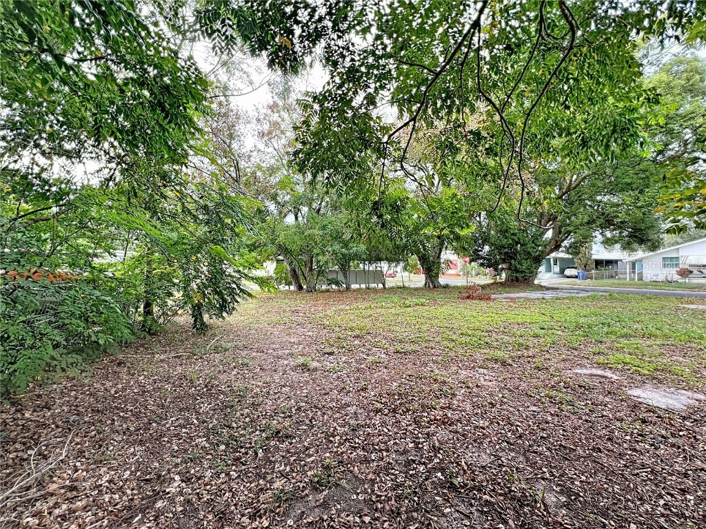 5630 Sunshine Park Drive New Port Richey FL 34652 W7881364 image7