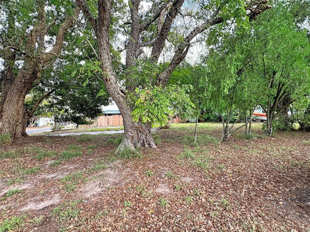 5630 Sunshine Park Drive New Port Richey FL 34652 W7881364 image9
