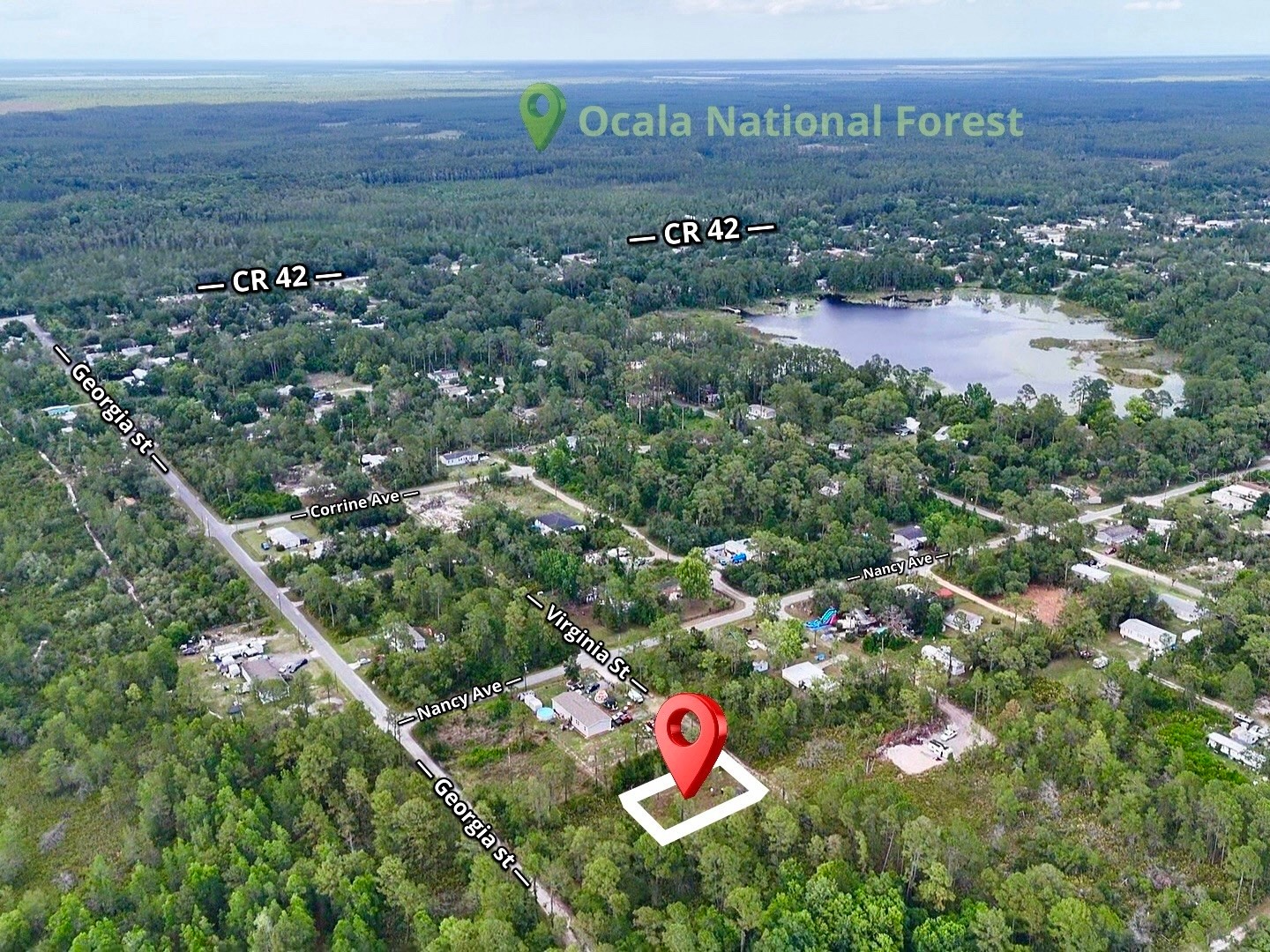 56309 Virginia Street Paisley FL 32767 S5150645 image5