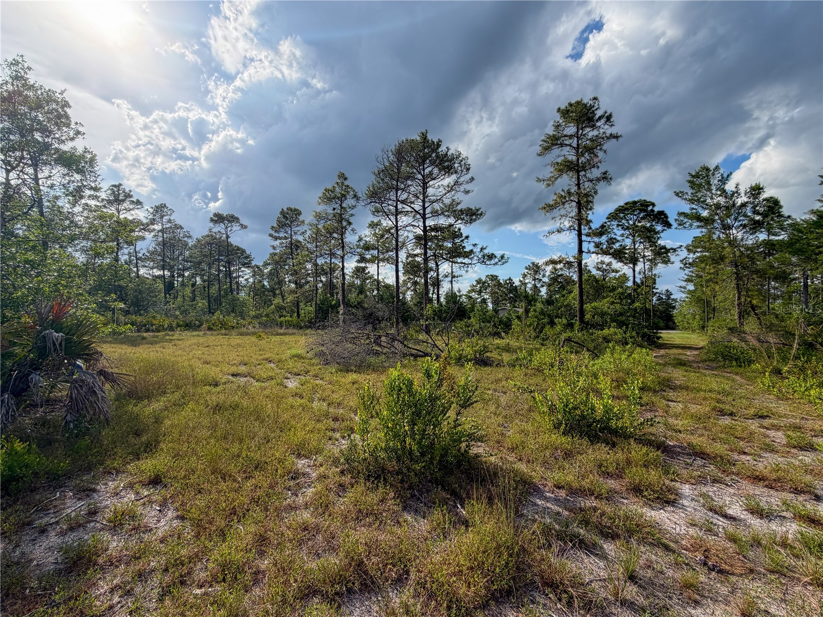 56309 Virginia Street Paisley FL 32767 S5150645 image6
