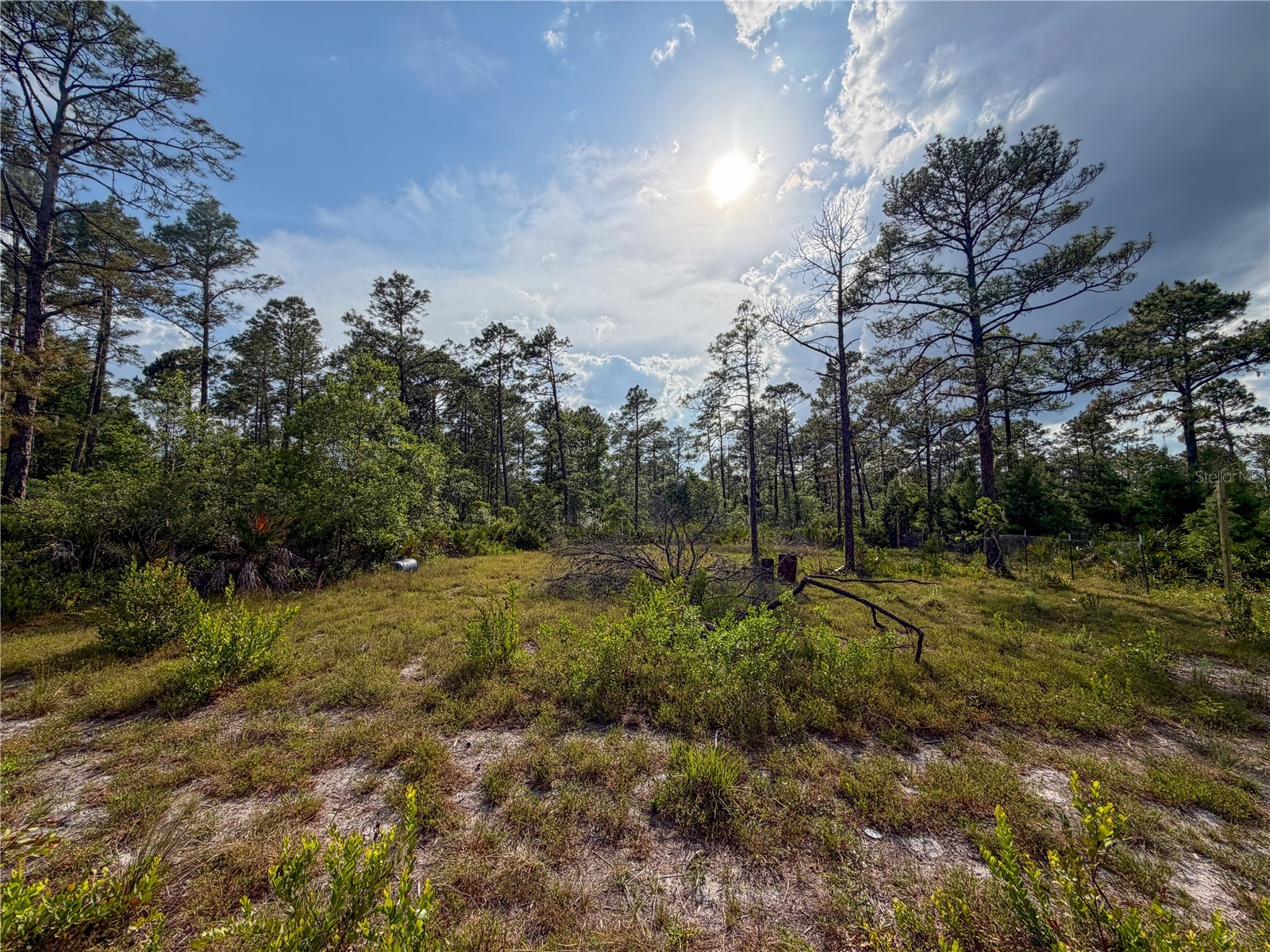 56309 Virginia Street Paisley FL 32767 S5150645 image9