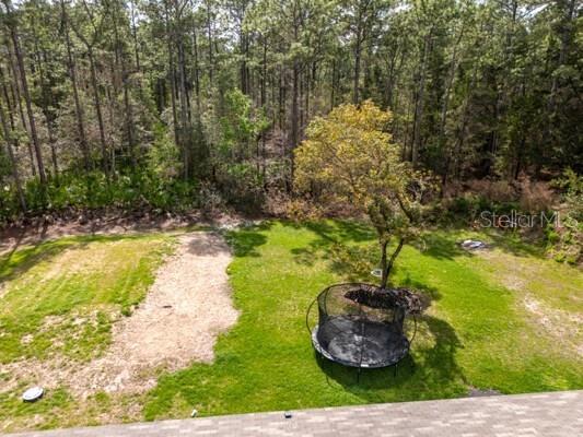 5631 Ironwood Avenue Bunnell FL 32110 FC317002 image27