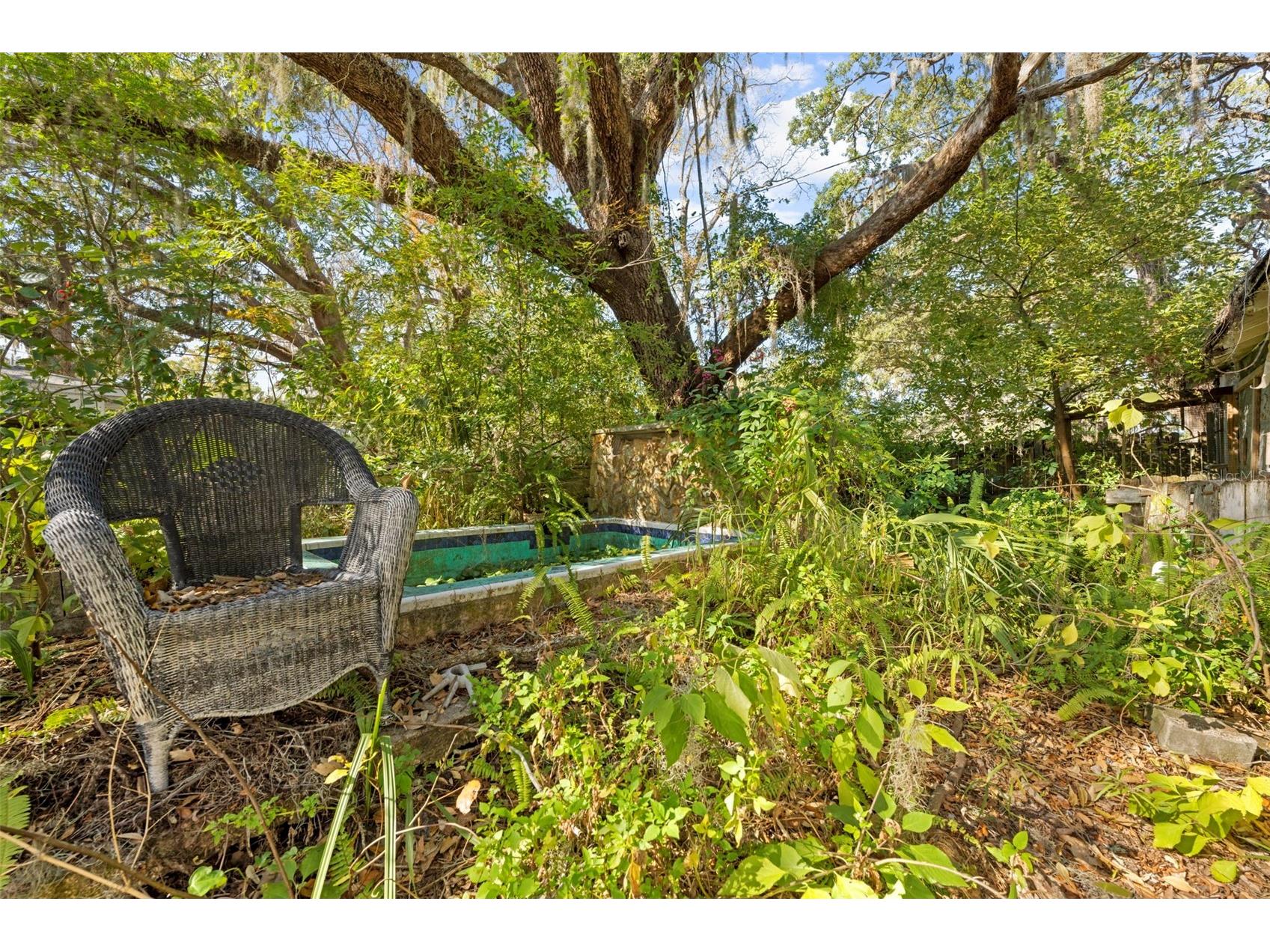 5631 Montana Avenue New Port Richey FL 34652 TB8472496 image36