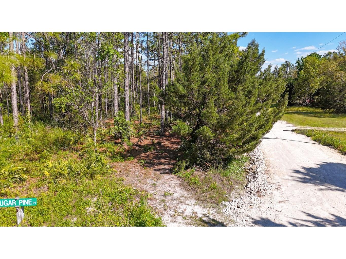 5631 S Atlantis Way Homosassa FL 34446 TB8379546 image12