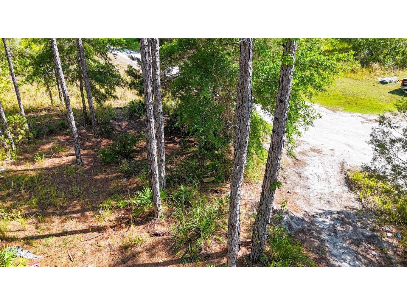 5631 S Atlantis Way Homosassa FL 34446 TB8379546 image13