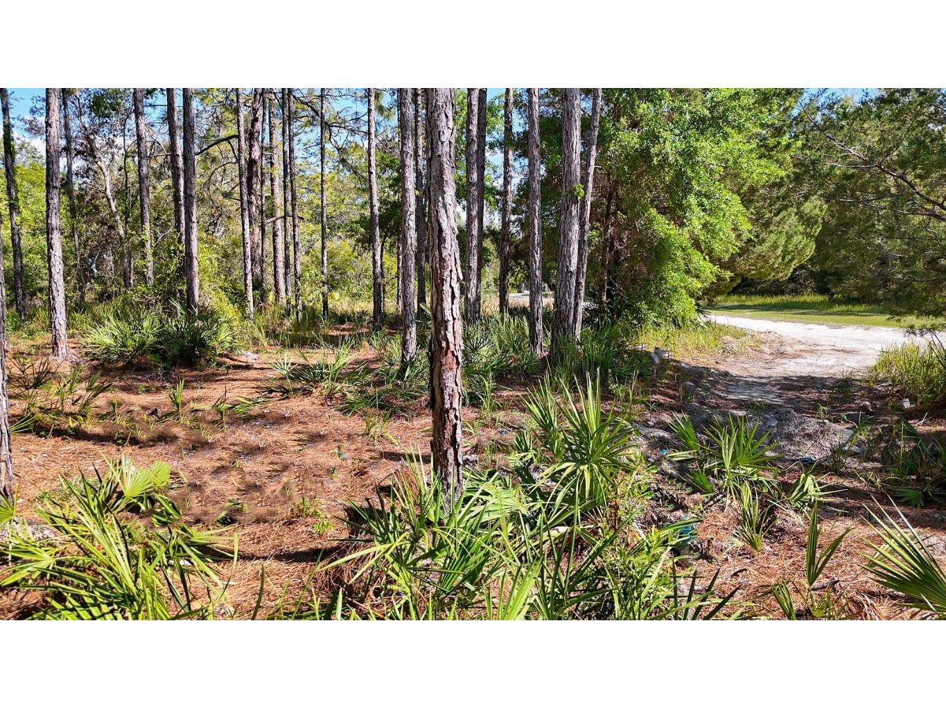 5631 S Atlantis Way Homosassa FL 34446 TB8379546 image14