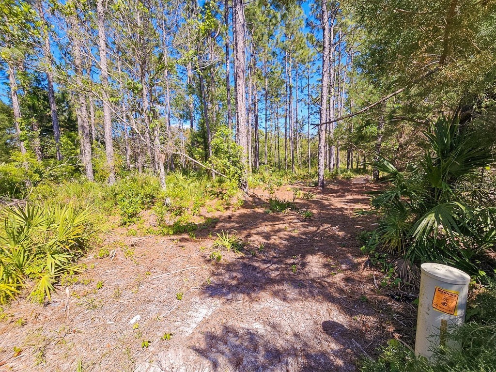 5631 S Atlantis Way Homosassa FL 34446 TB8379546 image15