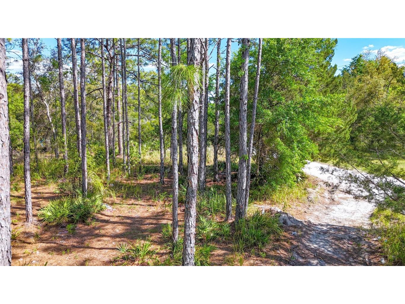 5631 S Atlantis Way Homosassa FL 34446 TB8379546 image16