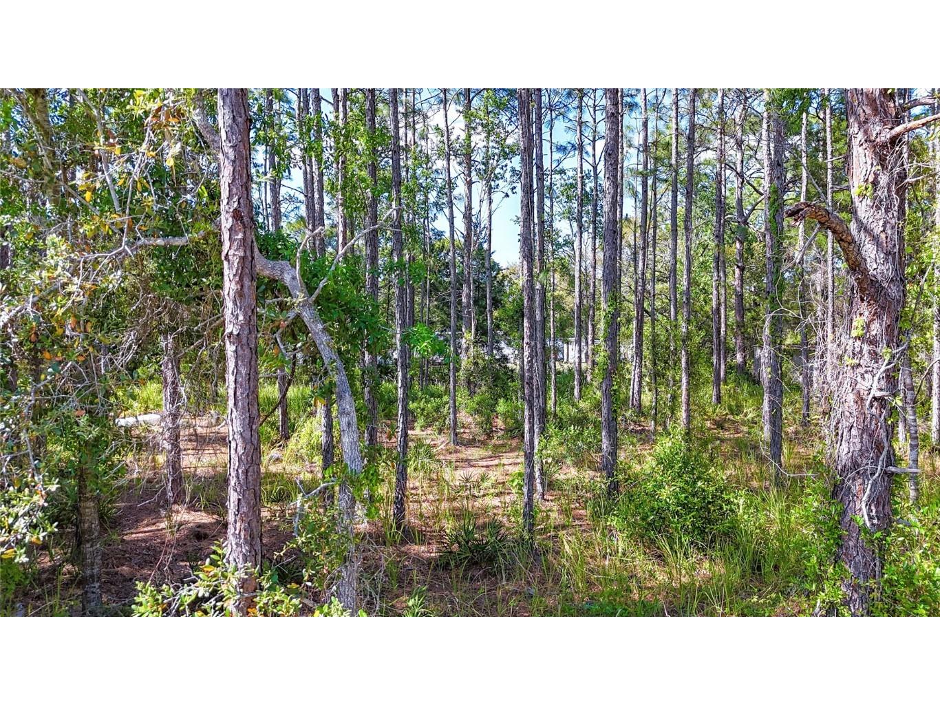 5631 S Atlantis Way Homosassa FL 34446 TB8379546 image17